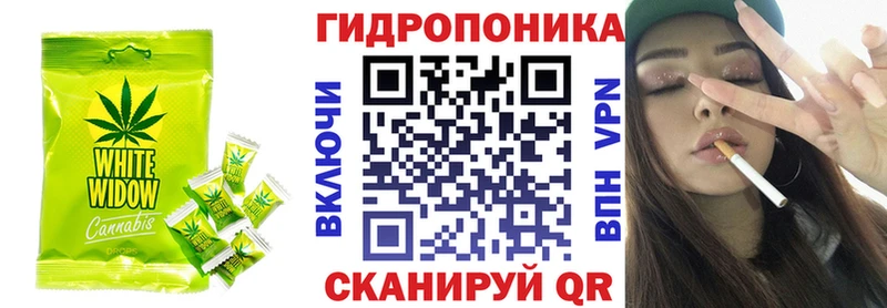 дарнет шоп  Новохопёрск  Cannafood конопля 