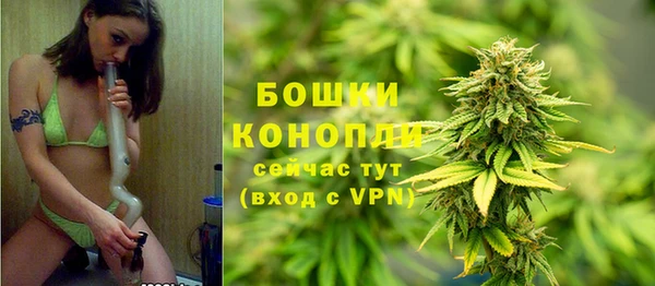 spice Балахна