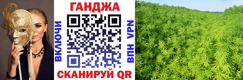 Канабис сатива  как найти закладки  Новохопёрск 